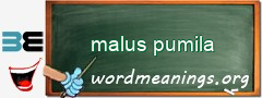 WordMeaning blackboard for malus pumila
